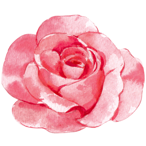 Ilustração delicada de uma rosa, símbolo do cuidado e rejuvenescimento da pele madura.