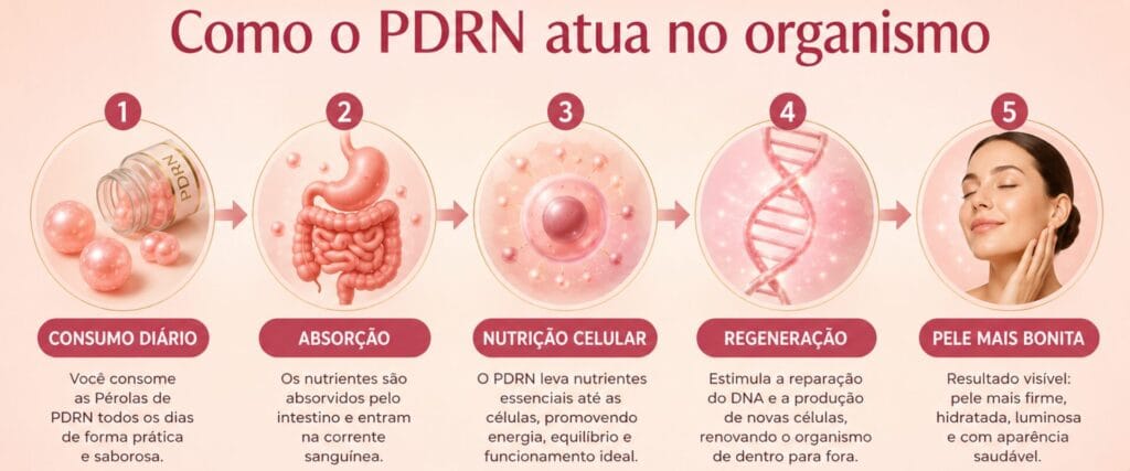 Infográfico mostrando como a Pérola de PDRN de Salmão atua no organismo, desde a absorção até o suporte à regeneração celular e à firmeza da pele com rugas.