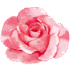 Ilustração delicada de uma rosa, símbolo do cuidado e rejuvenescimento da pele madura.